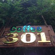 cafe 301