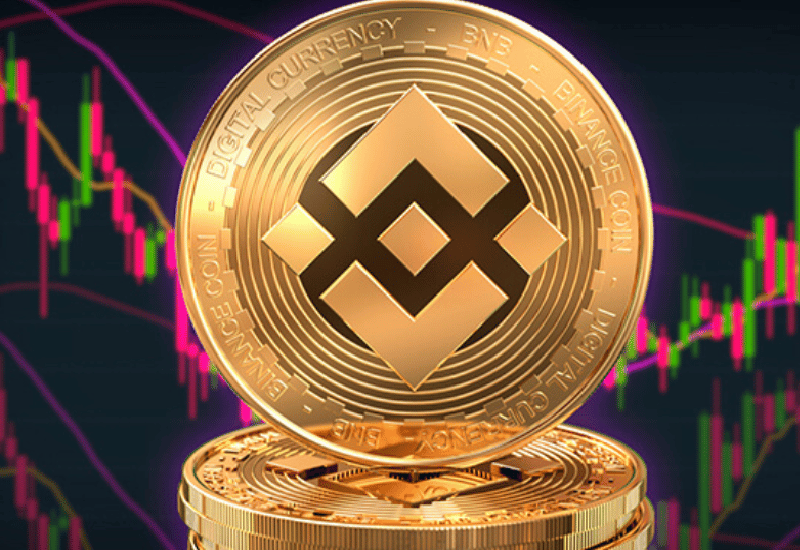 Binance Coin (BNB)